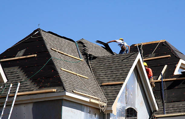 Best Storm Damage Roof Repair  in Brookwood, AL